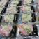 Cooksnap dari Sumiati Curup untuk resep Cenil,, jajanan pasar #BilinRamadanBerkesan