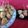 Cooksnap dari Kiarra Cookies n Cakes untuk resep Sempol mie