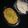 Dipika Bhalla's cooksnap of when they made મસૂર દાળ મસાલા ખીચડી.