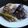 fsavage73's cooksnap of when they made Balsamic Steak Rolls.