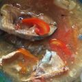 Cooksnap dari dimlisga untuk resep Garang Asem Ikan Patin