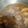 Cooksnap dari keanufa untuk resep Ayam Kecap