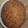 El cooksnap de Ezel cuando hizo Tarta de manzana “polaca”.