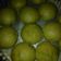 Cooksnap dari ani. untuk resep Bolu kukus pandan ngakak