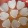 Cooksnap dari Hafara Cooking untuk resep Puding Labu Kuning (agar-agar waluh)