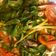 Cooksnap dari Handayani untuk resep Ikan kembung kuah kuning