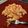 Melissa Cumine's cooksnap of when they made TikTok Pasta.