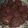 Cooksnap dari desi Liem untuk resep Cookies Rambutan