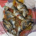 صورة من Nor Le Houda Chouatah، شاركها بعد تجربة وصفة سمك الدورال في الفرن 😋