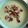 El cooksnap de Ana Pernas cuando hizo Crema de puerro y calabacín con crujiente de jamón versión mejorada.