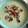 El cooksnap de Ana Pernas cuando hizo Crema de puerro y calabacín con crujiente de jamón versión mejorada.