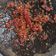 Cooksnap dari Afifa Fitia untuk resep Sambal Pecak