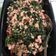 Cooksnap dari Lumy untuk resep #1 Tumis Bayam with Ayam Giling