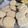 El cooksnap de Jenny cuando hizo Galletas de maicena.