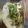 El cooksnap de Melisa Moreno Bolione cuando hizo Tacos de barrio.