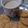 Ragini Sharma 's cooksnap of when they made Masala tea.