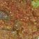 Cooksnap dari Arsita Noveni untuk resep Daging balado