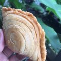 Cooksnap dari FettyFatimah untuk resep Curry Puff a.k.a Karipap