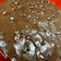 Cooksnap dari Ledi Effendy untuk resep Brownies kukus DCC