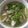 Cooksnap của Xuân Lê khi họ làm theo món Hương vị tình yêu(canh mọc súp lơ cà rốt)