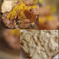 Chef Mommy Nessa's cooksnap of when they made My Pickled Mustard Seeds.