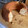 El cooksnap de Susana Torres cuando hizo Bizcocho (Bundt cake) de pera, canela y vainilla.
