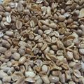 Cooksnap dari Ulil Wina untuk resep Kacang Bawang