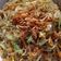 Cooksnap dari Ummu Hasna untuk resep Bihun Goreng Kampung Praktis