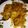 Shamit Sen's cooksnap of when they made Tandoori Chicken Biryani.