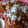 El cooksnap de Fabybarajitas cuando hizo Chilaquiles rojos cremosos.