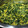 El cooksnap de Juangui Jordán cuando hizo Palak paneer.