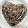 Cooksnap dari Rahma Sakinah untuk resep Puding Oreo Susu