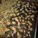 Cooksnap dari Feni eka Putri untuk resep Chewy Brownies (no mixer, loyang 22x22)