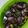 Cooksnap dari politama ppa untuk resep Cumi Hitam Cabe Ijo dengan Pete