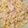il Dan quando ha preparato Penne rigate con ricotta e Prosciutto cotto