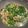 江沛潔 的 客家鹹湯圓 cooksnap