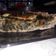 El cooksnap de Silvana Noelia Villan cuando hizo Tarta abierta de acelga, huevo y queso cremoso.