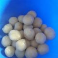 Cooksnap dari ermutia untuk resep Bakso (Tanpa Daging)