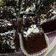 Cooksnap dari wiwit sri w untuk resep Blackforest potong