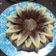 Cooksnap dari sweetvi_girl untuk resep Puding Zebra dapur mama Azzah & Azzam