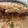 ノッツ's cooksnap of when they made Pastitsio (Greek Pasta Bake).