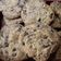 Zsuzsanna Erdős (pancsikonyhaja.blogspot.com) Cooksnap-ja, amikor elkészítette a(z) Amerikai (extra)csokis keksz 🍪 receptet.