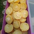 Cooksnap dari indri redono untuk resep Kue lumpur keju