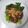 รูป Cooksnap ของ cooking mama เมื่อเขาทำ คะน้าฮ่องกงราดน้ำมันหอย