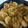 Cooksnap dari Ira Iskandar untuk resep Udang Saus Tiram