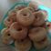 Cooksnap dari Dapur Ceu Edoh untuk resep Donat no telur no kentang