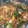 Cooksnap dari Rizka Mutiara untuk resep Tumis Sawi + Udang
