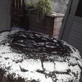 El cooksnap de VERO 🇺🇾 cuando hizo TORTA MATERA DE CHOCOLATE con crema pastelera de chocolate 🎂🍫.