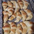 El cooksnap de Yanira Rodríguez cuando hizo Medialunas fáciles!.