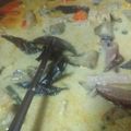 Cooksnap dari In Hirdayatito untuk resep Lodeh Mangut